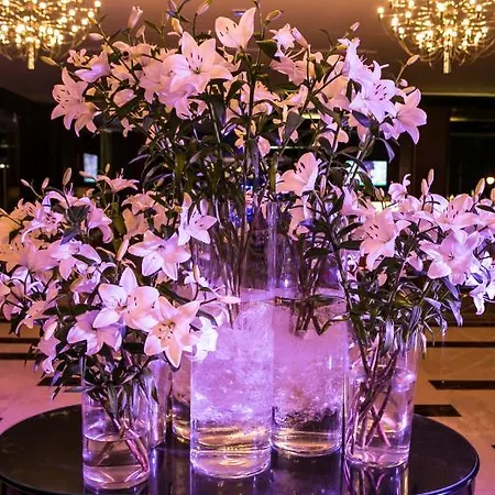 Grandhotel Tiffi